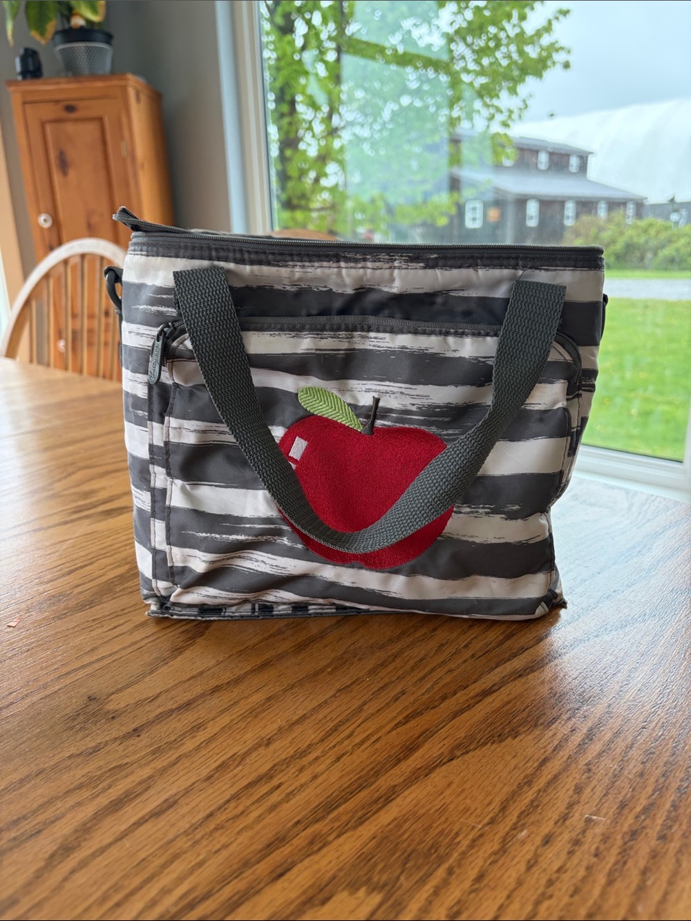 Insulated Lunch Bag